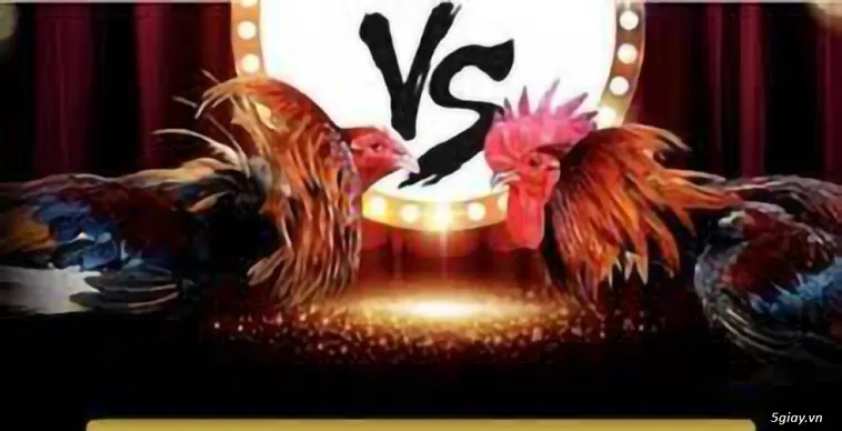 Cách Chơi Đá Gà GA28 Miso88 Đỉnh Cao Với Trận Đấu Kịch Tính 2025