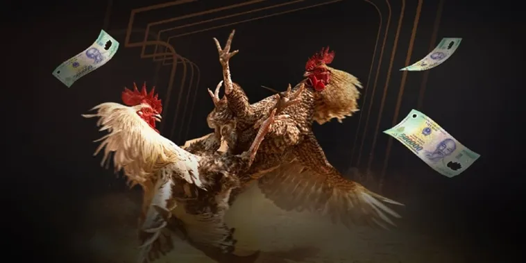 Cách Chơi Đá Gà Sabong Miso88 Kịch Tính Với Tỷ Lệ Thưởng Cao 2025